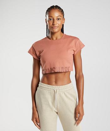 Gymshark Fraction Beskurna Toppar Dam Bruna | SE 2557BEX